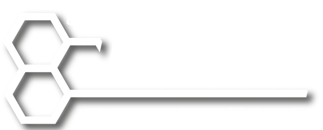 logo HSE CARAIBES